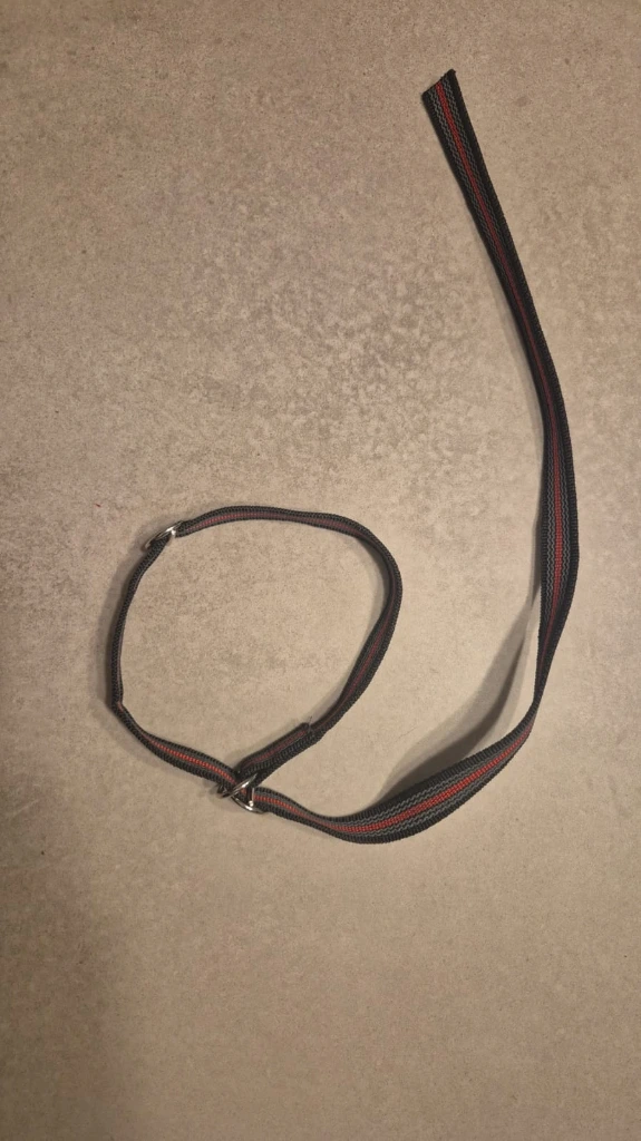 Laisse lasso sécurisé 80 cm / 20 mm