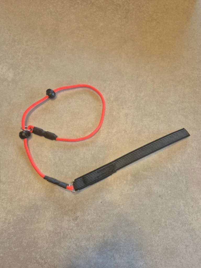 Laisse lasso cordelette